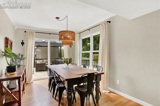 MLS Image for 8005  Potomac  ,Colorado Springs, Colorado