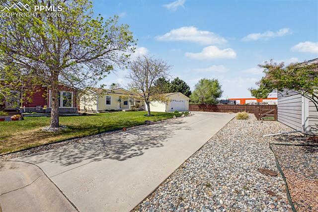 MLS Image for 4687  Pine Marten  ,Colorado Springs, Colorado