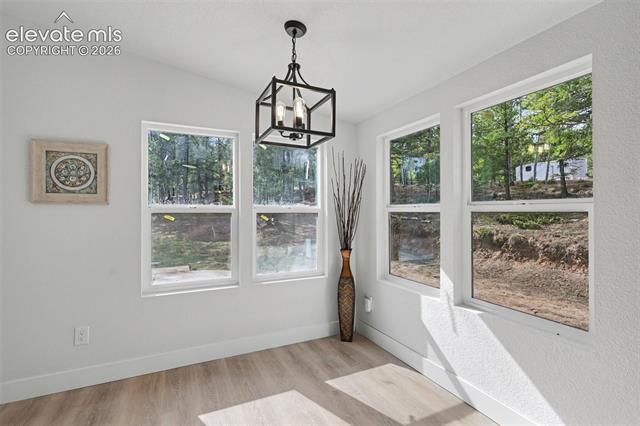 MLS Image for 151  Banner  ,Florissant, Colorado