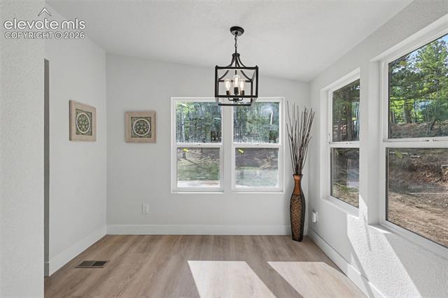 MLS Image for 151  Banner  ,Florissant, Colorado