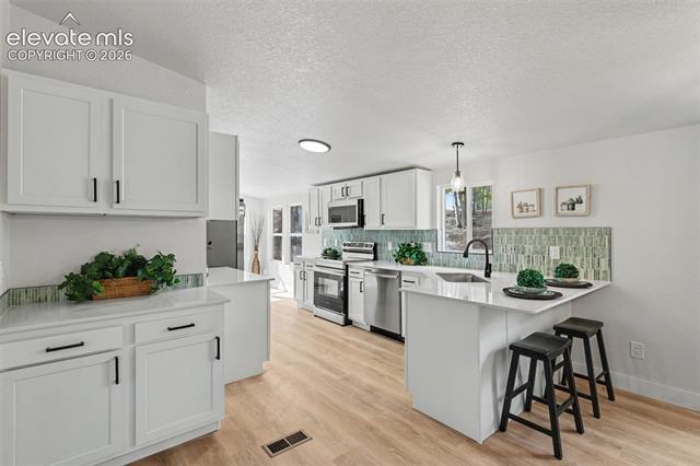 MLS Image for 151  Banner  ,Florissant, Colorado