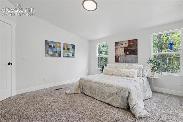 MLS Image for 151  Banner  ,Florissant, Colorado