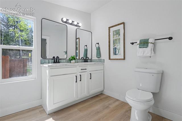 MLS Image for 151  Banner  ,Florissant, Colorado