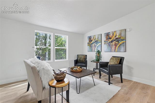 MLS Image for 151  Banner  ,Florissant, Colorado