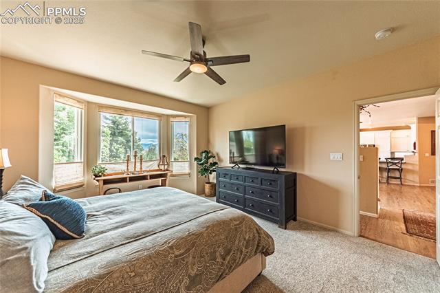 MLS Image for 1147  Mount Estes  ,Colorado Springs, Colorado