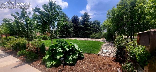 MLS Image for 1147  Mount Estes  ,Colorado Springs, Colorado