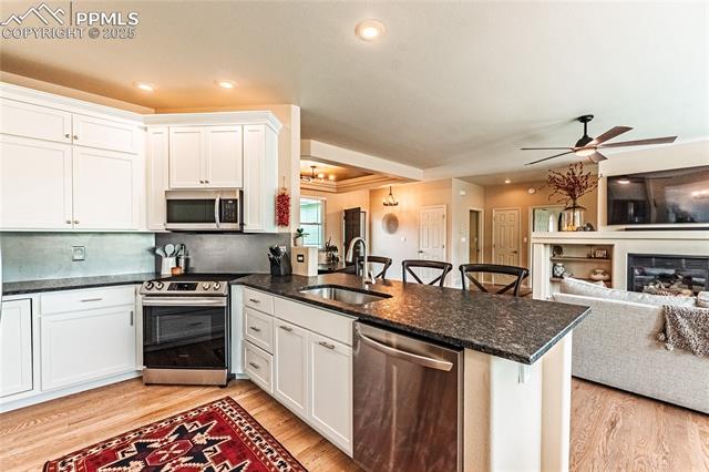 MLS Image for 1147  Mount Estes  ,Colorado Springs, Colorado