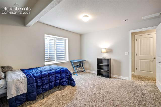 MLS Image for 6022  Meadowbank  ,Colorado Springs, Colorado