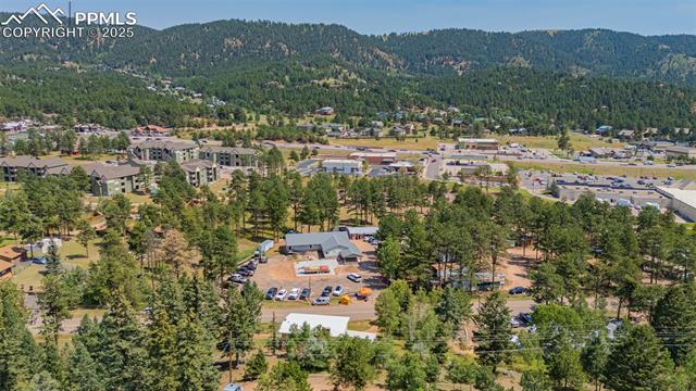 MLS Image for 1030  Woodland  ,Woodland Park, Colorado