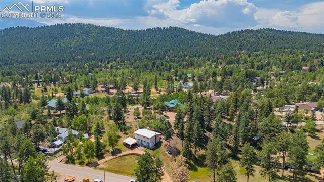 MLS Image for 1030  Woodland  ,Woodland Park, Colorado