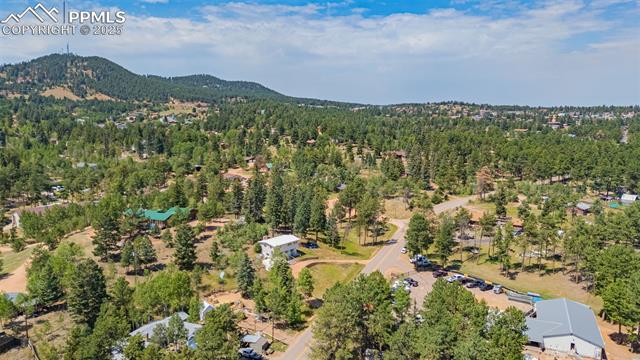 MLS Image for 1030  Woodland  ,Woodland Park, Colorado