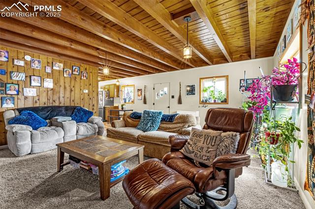MLS Image for 1030  Woodland  ,Woodland Park, Colorado
