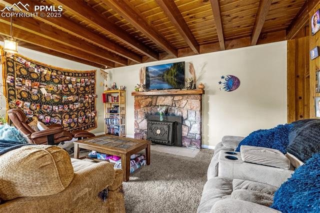 MLS Image for 1030  Woodland  ,Woodland Park, Colorado
