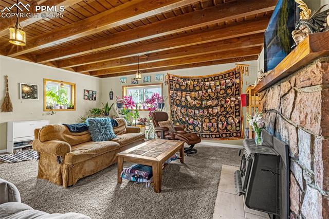 MLS Image for 1030  Woodland  ,Woodland Park, Colorado
