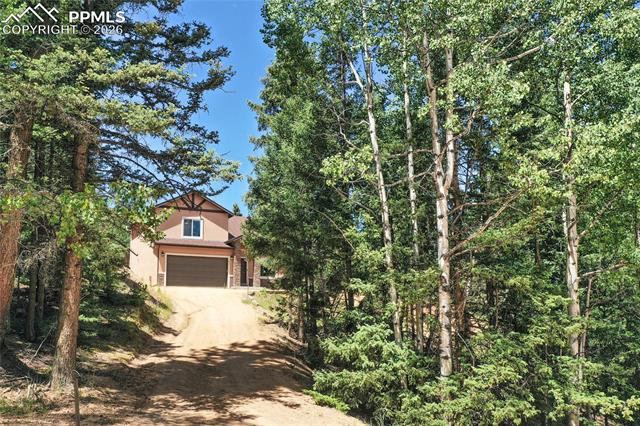 MLS Image for 71  Mt Elbert  ,Florissant, Colorado