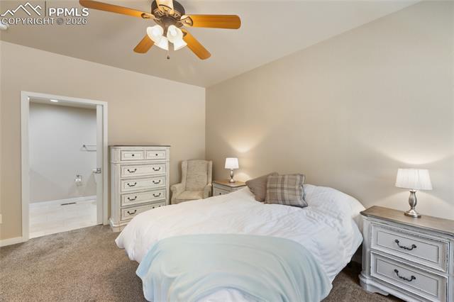 MLS Image for 71  Mt Elbert  ,Florissant, Colorado