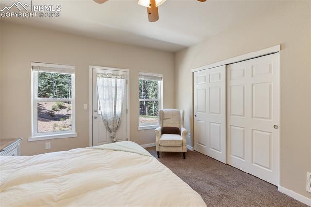 MLS Image for 71  Mt Elbert  ,Florissant, Colorado
