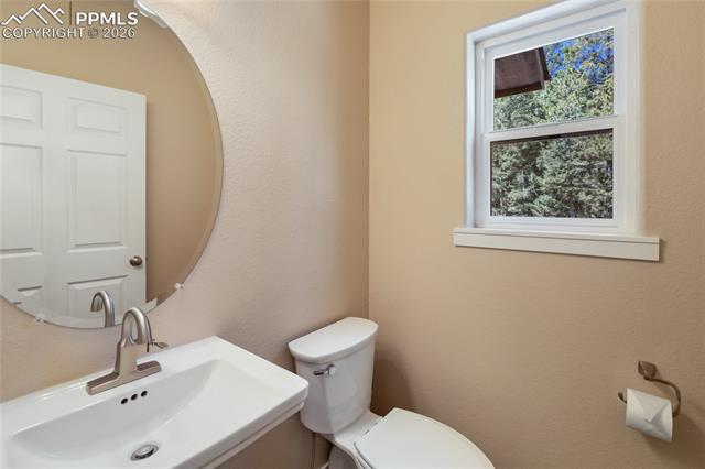 MLS Image for 71  Mt Elbert  ,Florissant, Colorado
