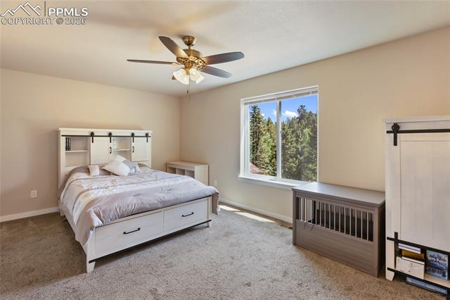 MLS Image for 71  Mt Elbert  ,Florissant, Colorado