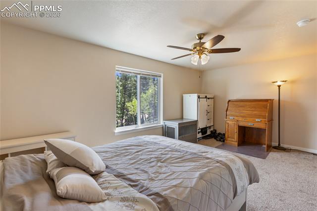 MLS Image for 71  Mt Elbert  ,Florissant, Colorado