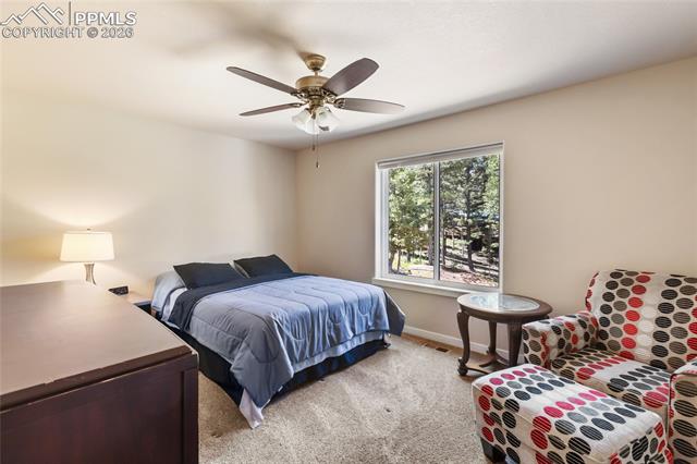 MLS Image for 71  Mt Elbert  ,Florissant, Colorado