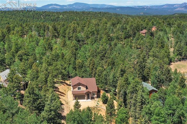 MLS Image for 71  Mt Elbert  ,Florissant, Colorado