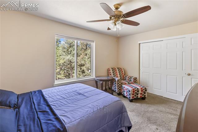 MLS Image for 71  Mt Elbert  ,Florissant, Colorado
