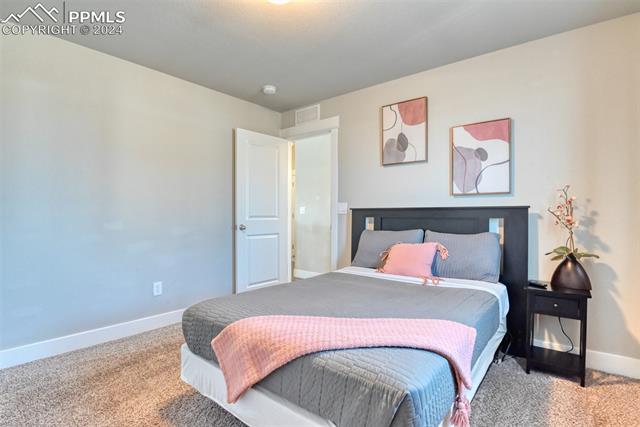 MLS Image for 2442  Tempest  ,Colorado Springs, Colorado