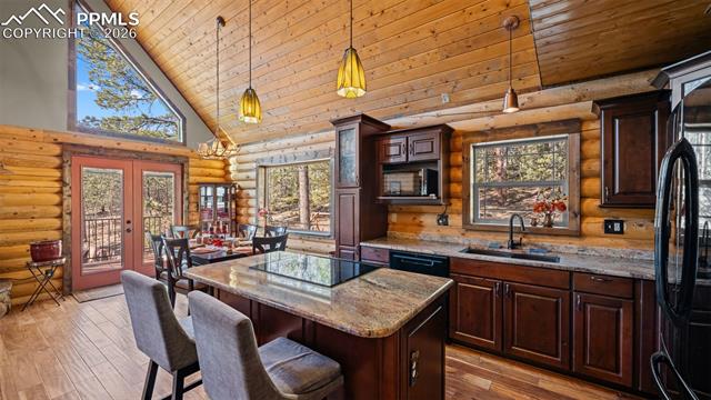 MLS Image for 1253 E Bison Creek  ,Divide, Colorado
