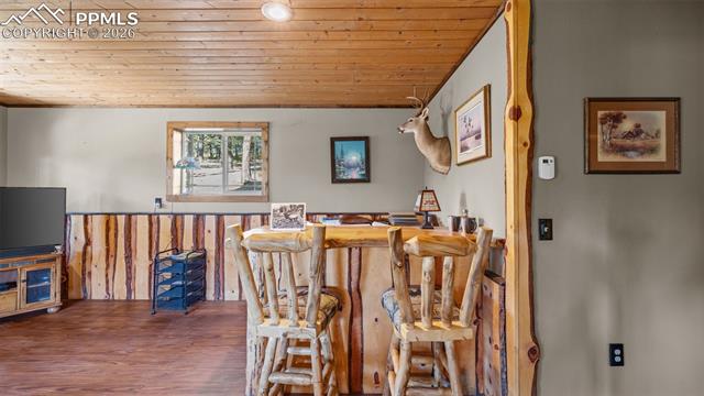 MLS Image for 1253 E Bison Creek  ,Divide, Colorado