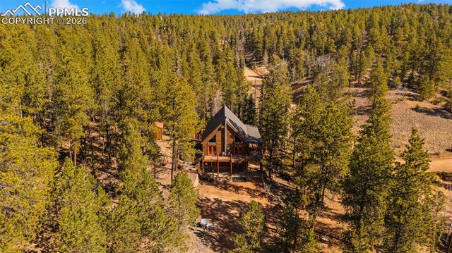 MLS Image for 1253 E Bison Creek  ,Divide, Colorado