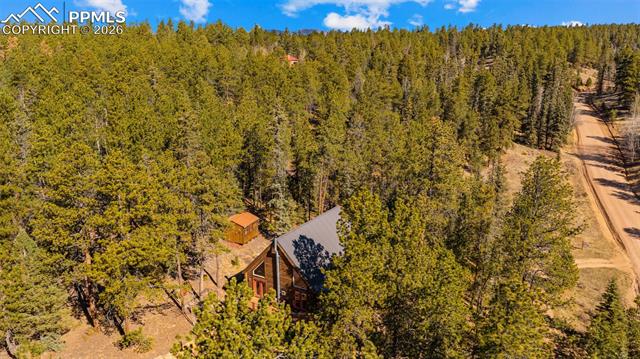 MLS Image for 1253 E Bison Creek  ,Divide, Colorado