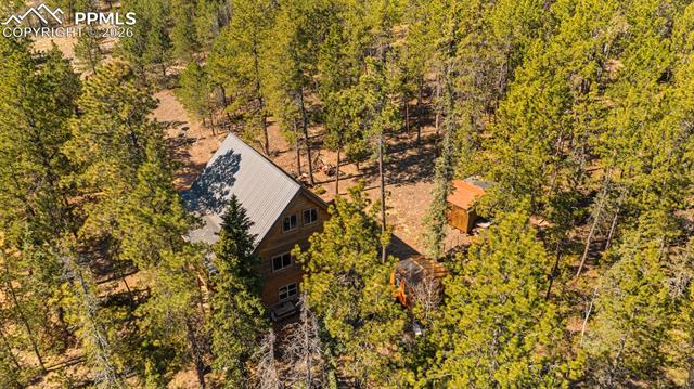 MLS Image for 1253 E Bison Creek  ,Divide, Colorado