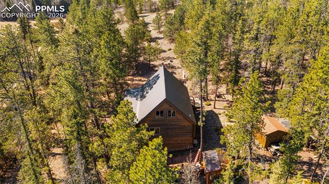 MLS Image for 1253 E Bison Creek  ,Divide, Colorado