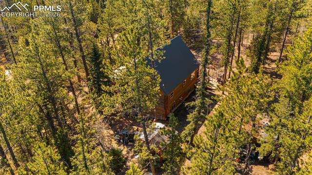 MLS Image for 1253 E Bison Creek  ,Divide, Colorado