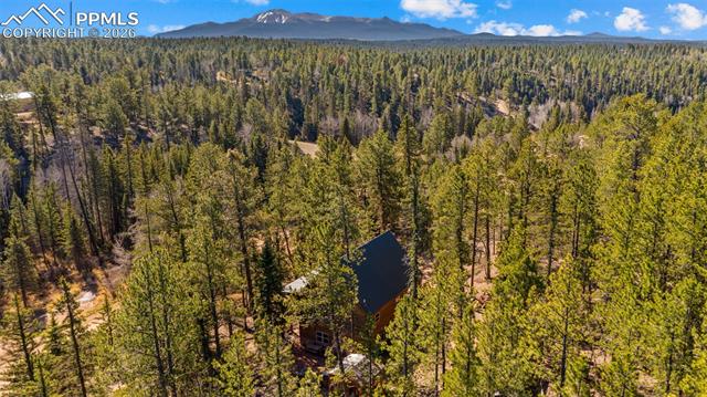 MLS Image for 1253 E Bison Creek  ,Divide, Colorado