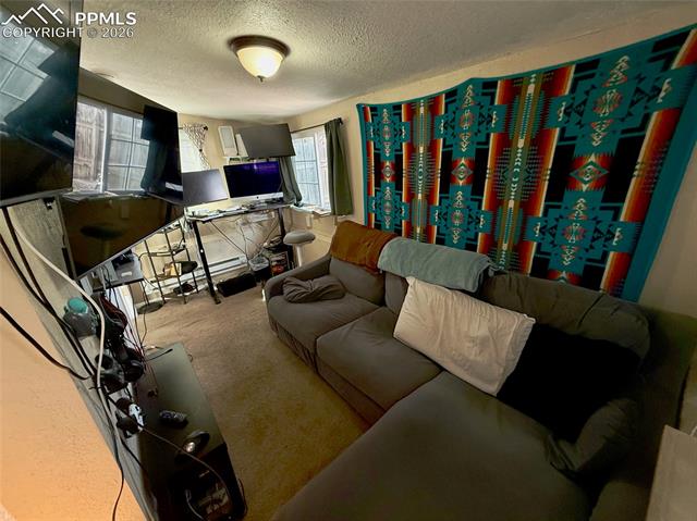 MLS Image for 220  Willow  ,Colorado Springs, Colorado