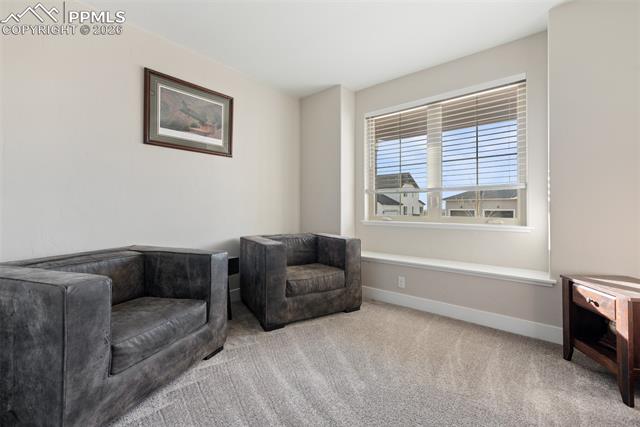 MLS Image for 1154  Lady Campbell  ,Colorado Springs, Colorado