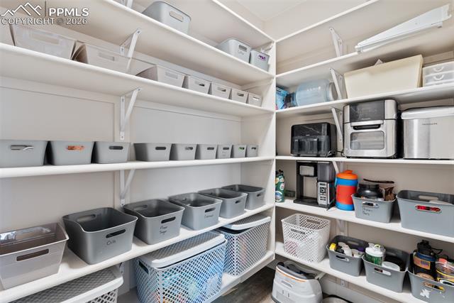 MLS Image for 1154  Lady Campbell  ,Colorado Springs, Colorado