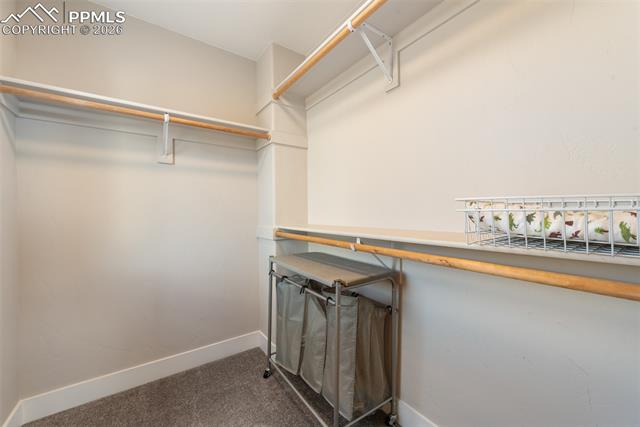 MLS Image for 1154  Lady Campbell  ,Colorado Springs, Colorado