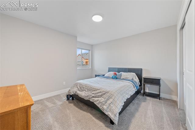 MLS Image for 1154  Lady Campbell  ,Colorado Springs, Colorado