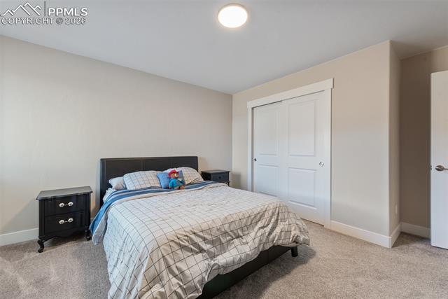 MLS Image for 1154  Lady Campbell  ,Colorado Springs, Colorado