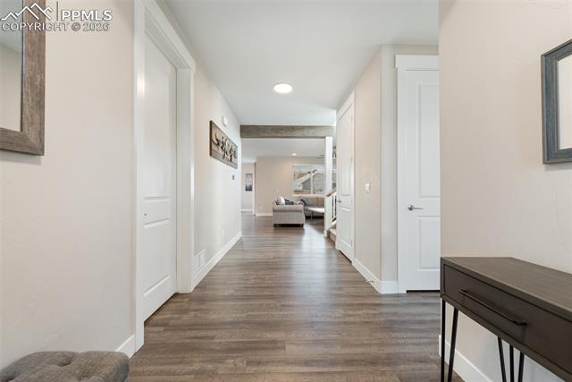 MLS Image for 1154  Lady Campbell  ,Colorado Springs, Colorado