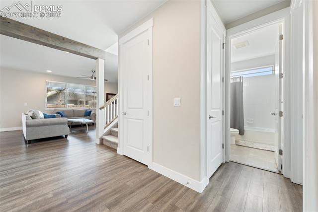 MLS Image for 1154  Lady Campbell  ,Colorado Springs, Colorado