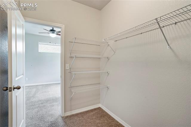 MLS Image for 802  Grissom  ,Colorado Springs, Colorado