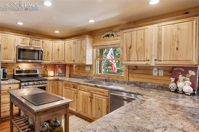 MLS Image for 143  Wahsatch  ,Florissant, Colorado