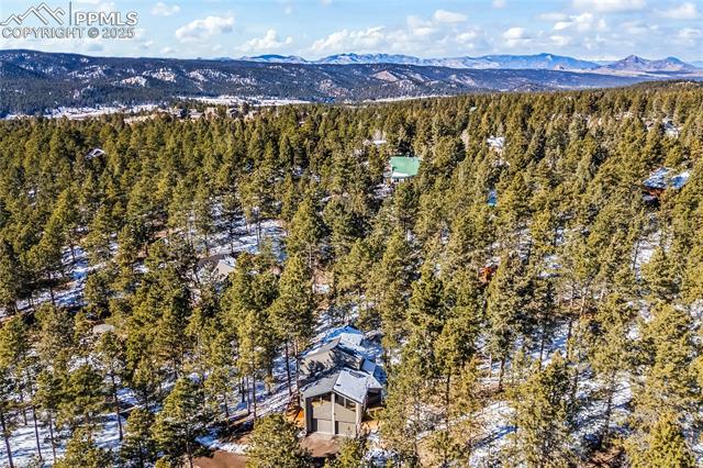 MLS Image for 192  Ridge  ,Woodland Park, Colorado
