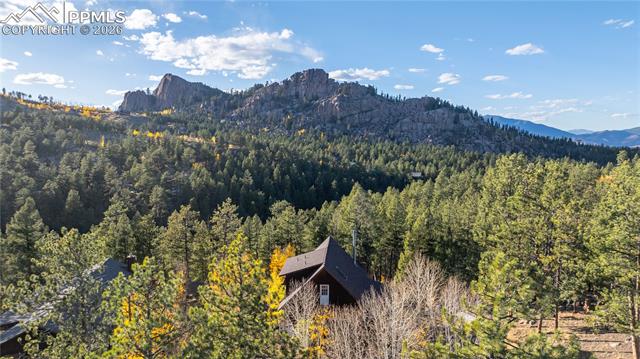 MLS Image for 71  Durelli  ,Woodland Park, Colorado