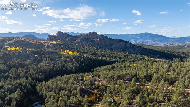 MLS Image for 71  Durelli  ,Woodland Park, Colorado