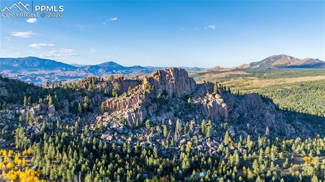 MLS Image for 71  Durelli  ,Woodland Park, Colorado